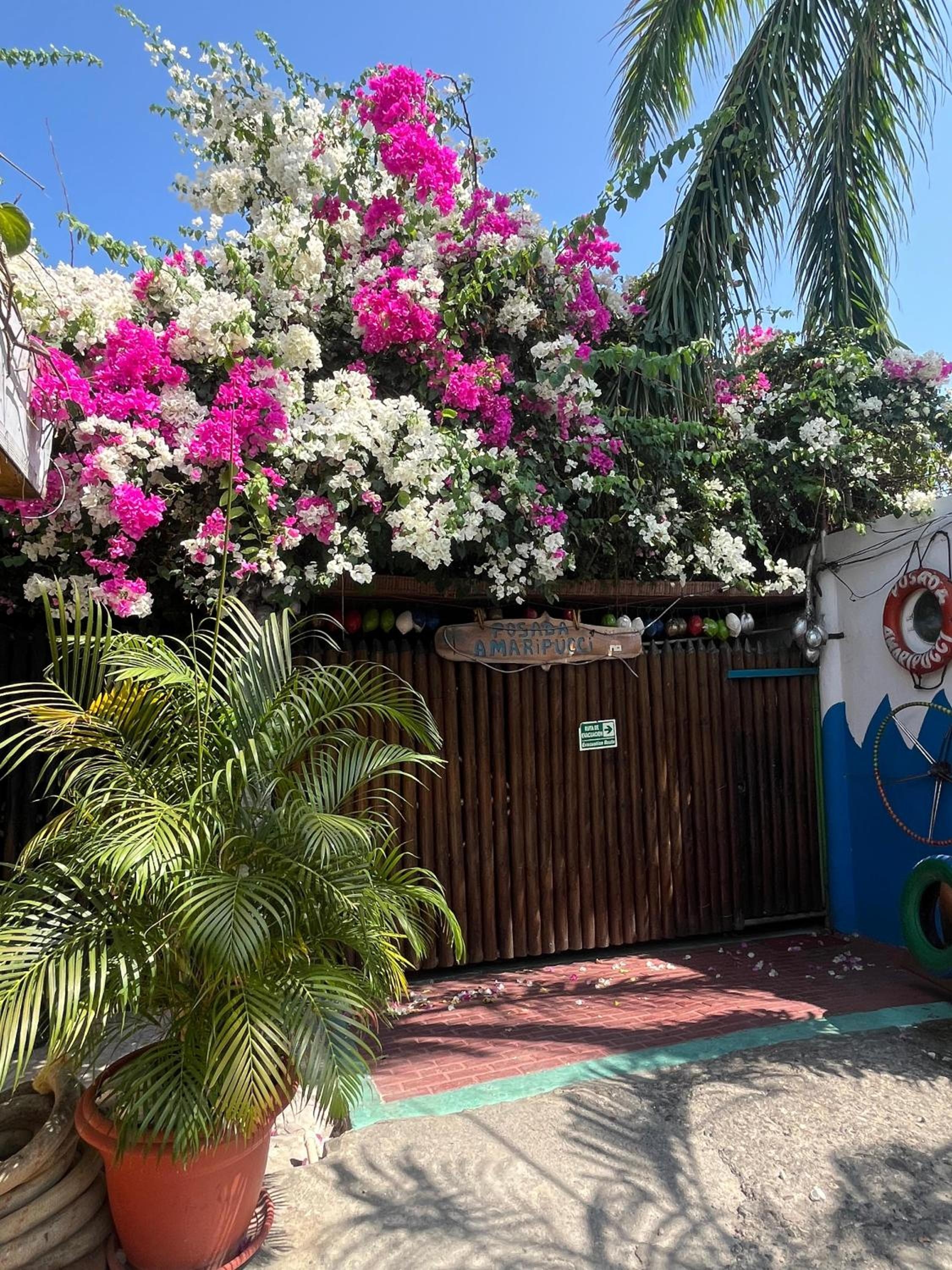 Posada Amaripucci, San Andrés
